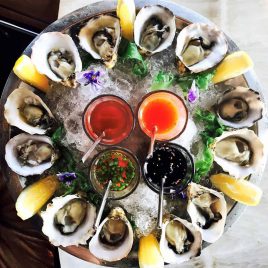 Oysters plate